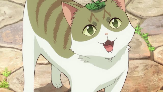 Кот и дракон — 1 сезон, 12 серия: Кот и столичный фестиваль