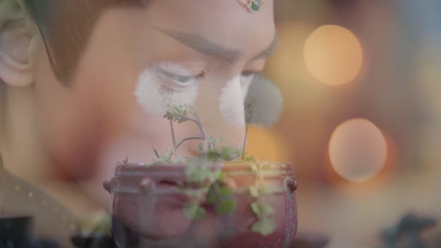 Светлый пепел луны — 1 сезон, 22 серия